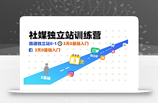 社媒独立站训练营,跑通独立站0-1,3天0基础入门