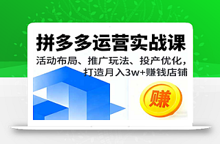 拼多多运营实战课,活动布局、推广玩法、投产优化,打造月入3w+赚钱店铺