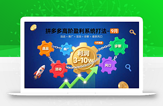 拼多多高阶盈利系统打法-9月:选品+推广+活动+诊断+最新风口,月利润3-10w