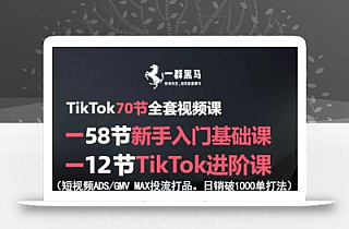 TikTok全套视频课,新手入门+进阶课,短视频ADS-GMV MAX投流打品,日销破1000单打法