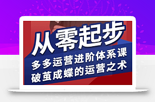 拼多多运营进阶系统课,从零起步,多多运营进阶体系课,破茧成蝶的运营之术(更新9月)
