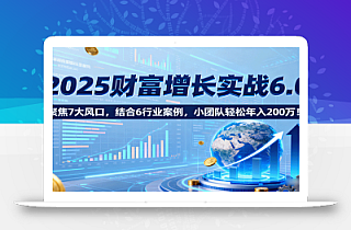 2025财富增长实战6.0,聚焦7大风口,结合6行业案例,小团队轻松年入200万!