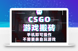 CSGO游戏挂机捡漏,单日扫货500+,年底小高峰上车可吃肉,手机即可操作…