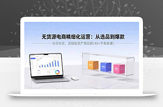 无货源电商精细化运营:从选品到爆款,实现轻资产高回报(40+节系统课
