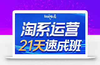 白凤电商·淘系运营21天速成班(更新9月)