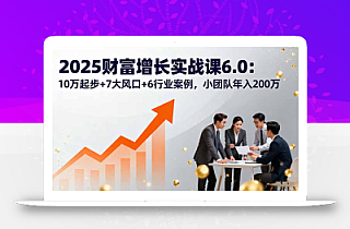 2025财富增长实战课6.0:10万起步+7大风口+6行业案例,小团队年入200万