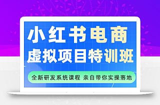 陆明明·小红书虚拟项目特训班(更新9月)