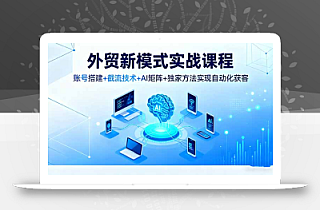 外贸新模式实战课程,账号搭建+截流技术+AI矩阵+独家方法实现自动化获客