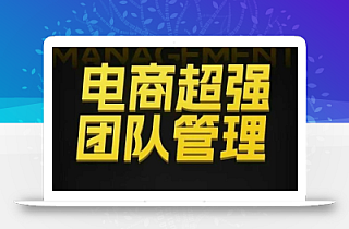 电商超强团队管理,组织绩效,到用人执行,分权合伙