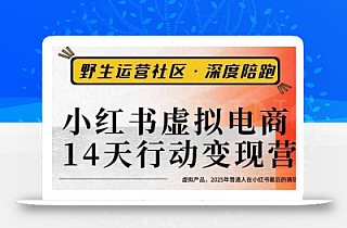 小红书虚拟电商14天变现训练营3.0,虚拟产品,2025年普通人在小红书最后的搞钱机会