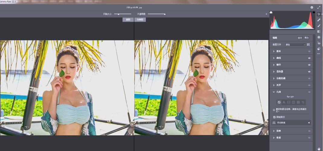 RAW处理Adobe Camera Raw v18.2.1中文版
